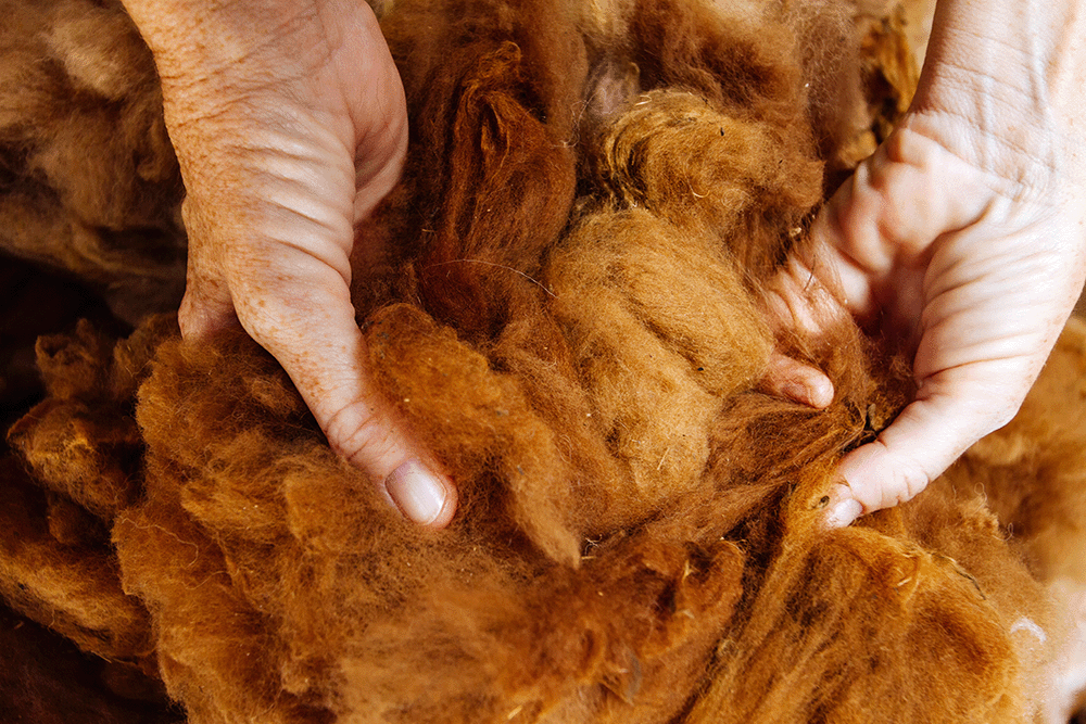 fingers through camel hair